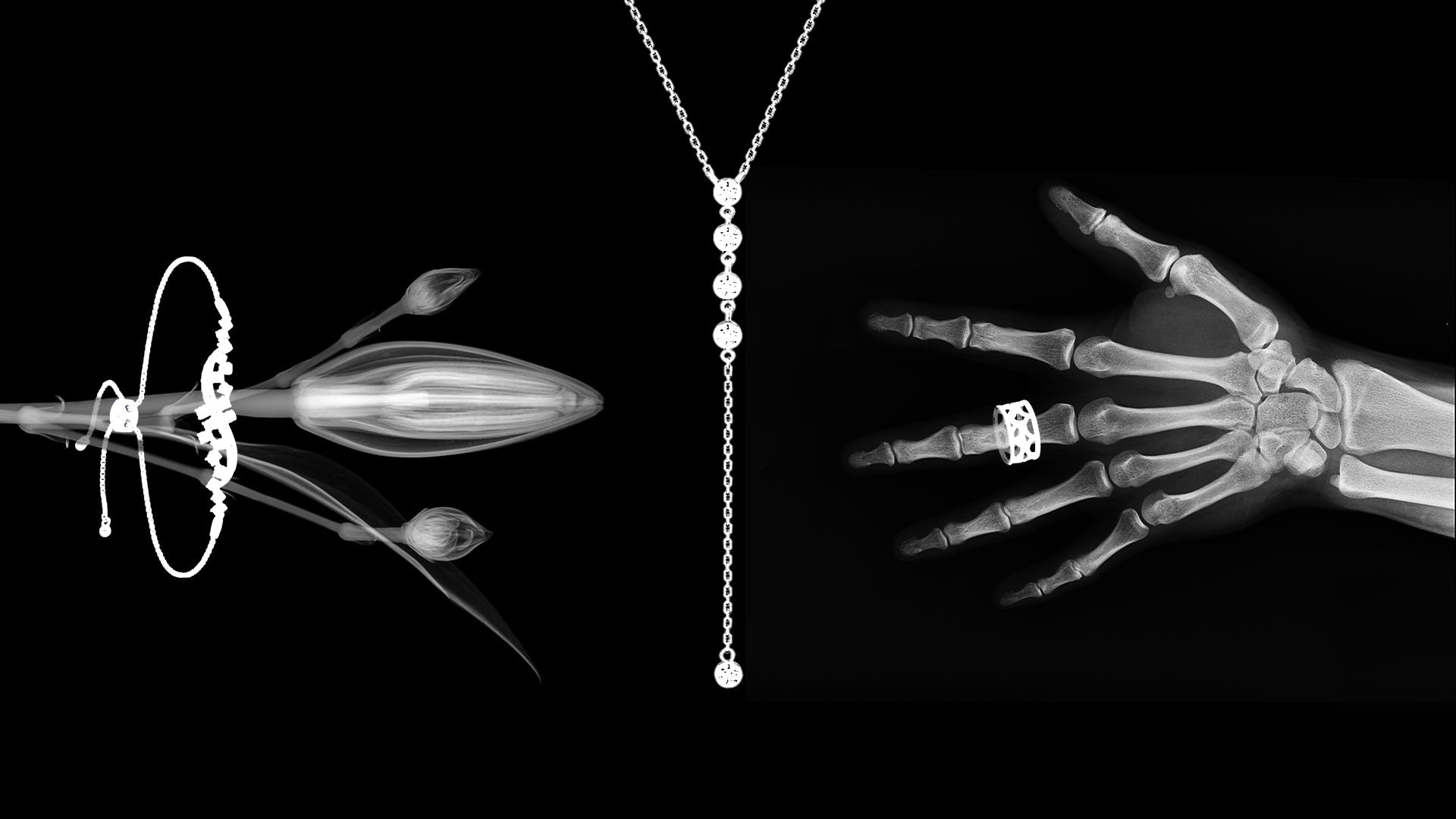Here’s your “Radiology Report” - The Future Rocks