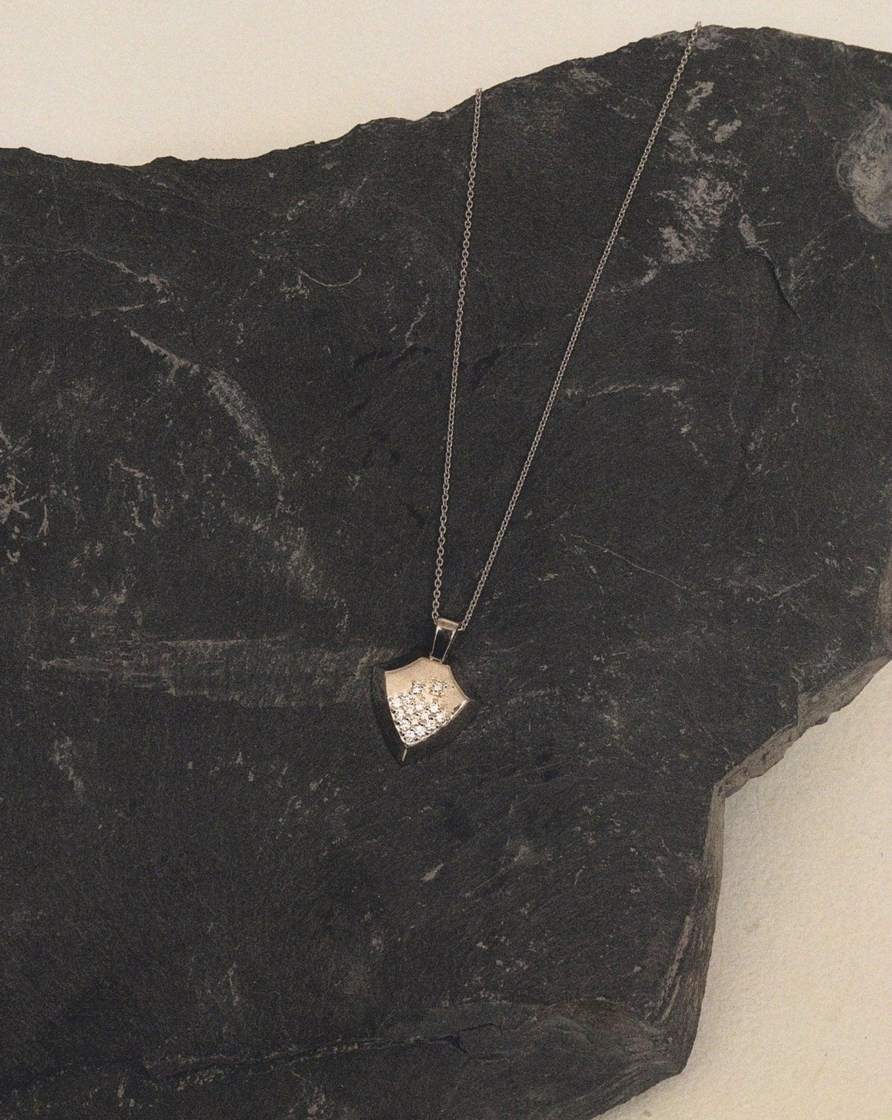 Shield necklace - Shield necklace -  The Future Rocks -    5