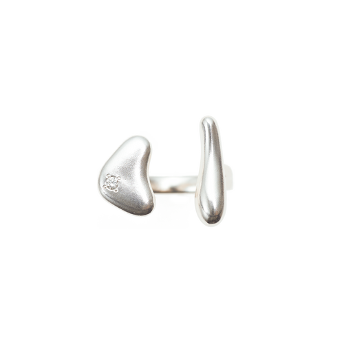 Water fork ring - Water fork ring -  The Future Rocks -    1