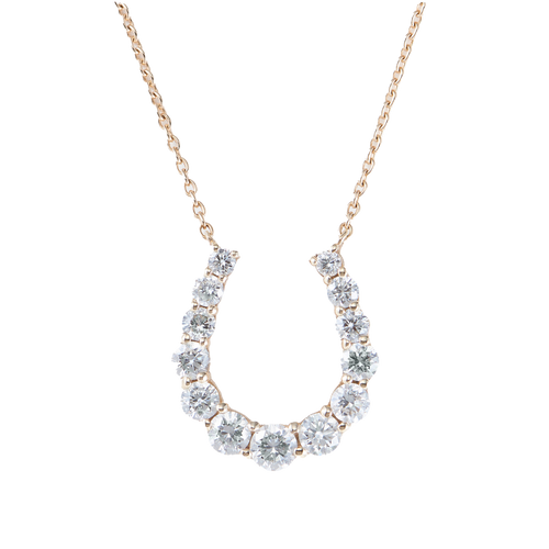 Horse shoe necklace - Horse Shoe Necklace - The Future Rocks - 1