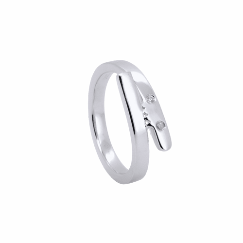 Dinosaur ring - Dinosaur ring -  The Future Rocks -    1