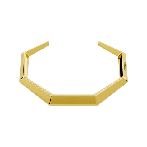 The sculptor's bangle - The sculptor's bangle -  The Future Rocks -    1