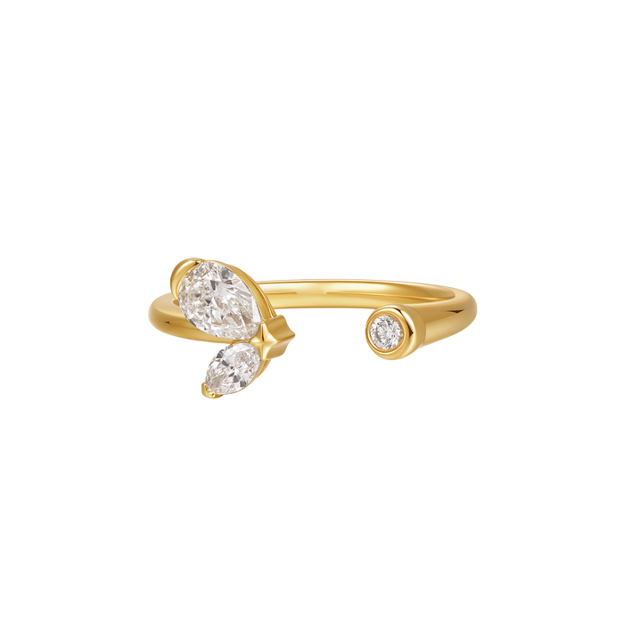Butterfly ring - Butterfly ring -  The Future Rocks -    1