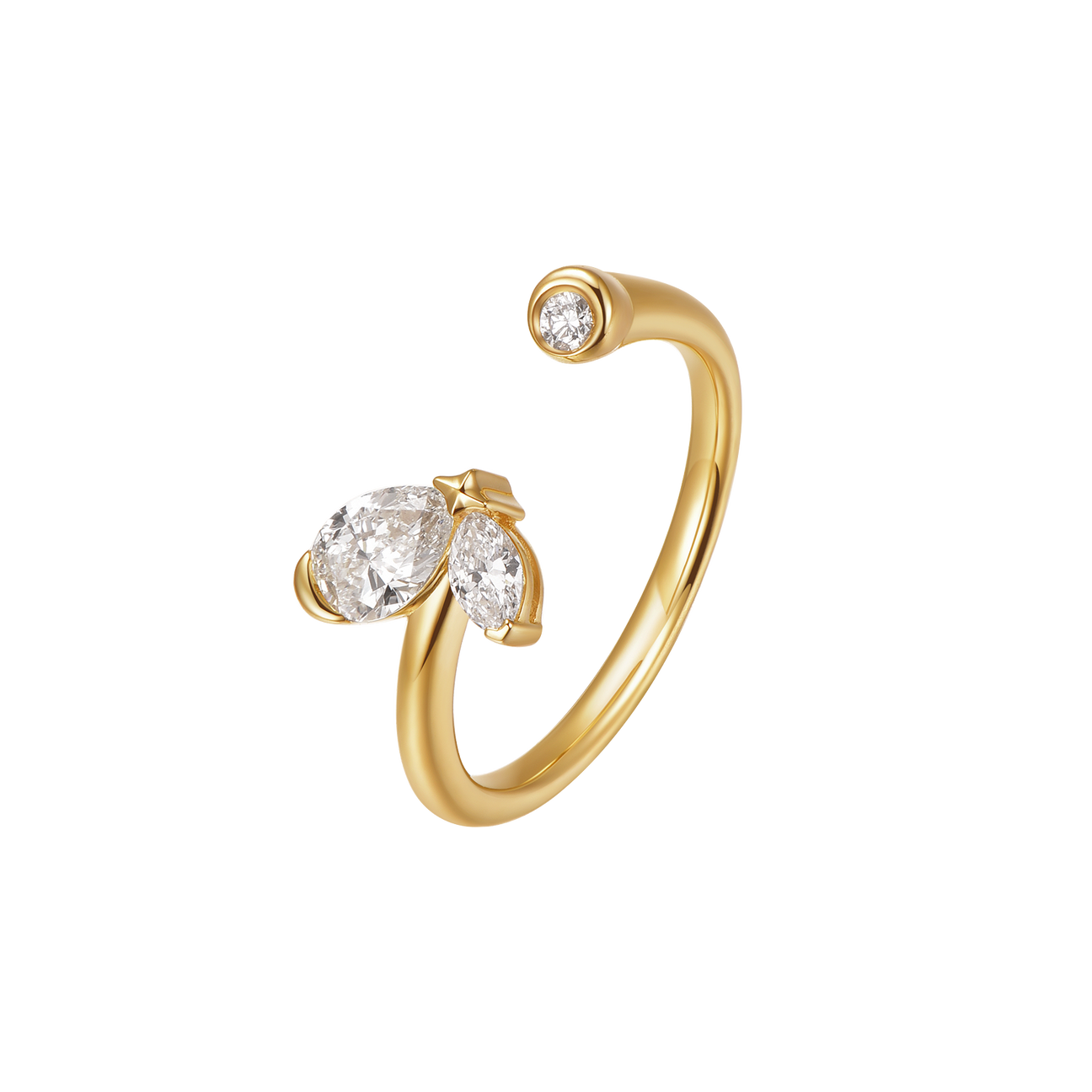 Butterfly ring - Butterfly ring -  The Future Rocks -    2
