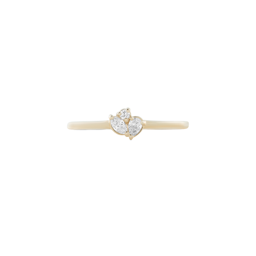 Cluster ring - Cluster ring -  The Future Rocks -    1