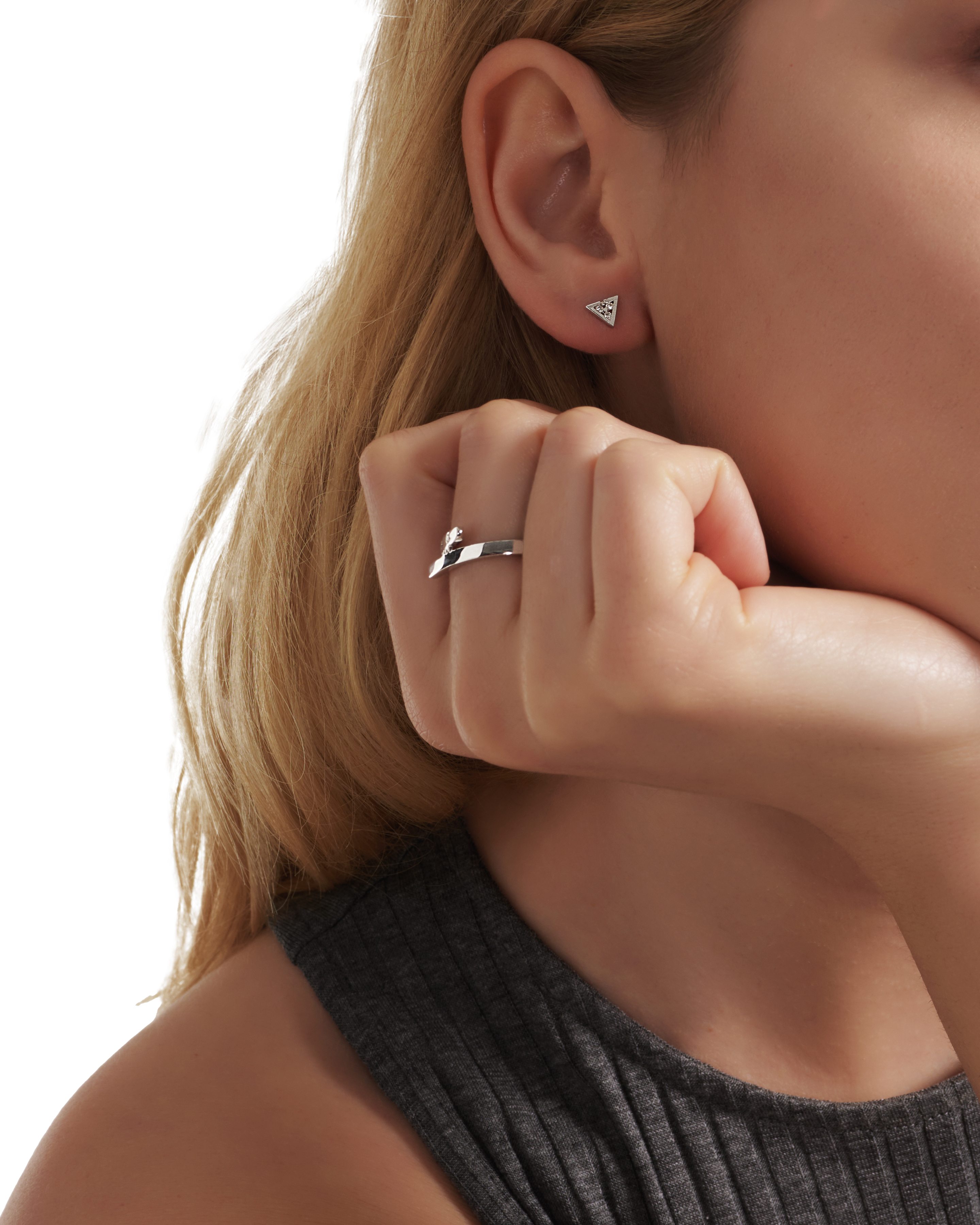 Dinosaur ring - Dinosaur ring -  The Future Rocks -    2