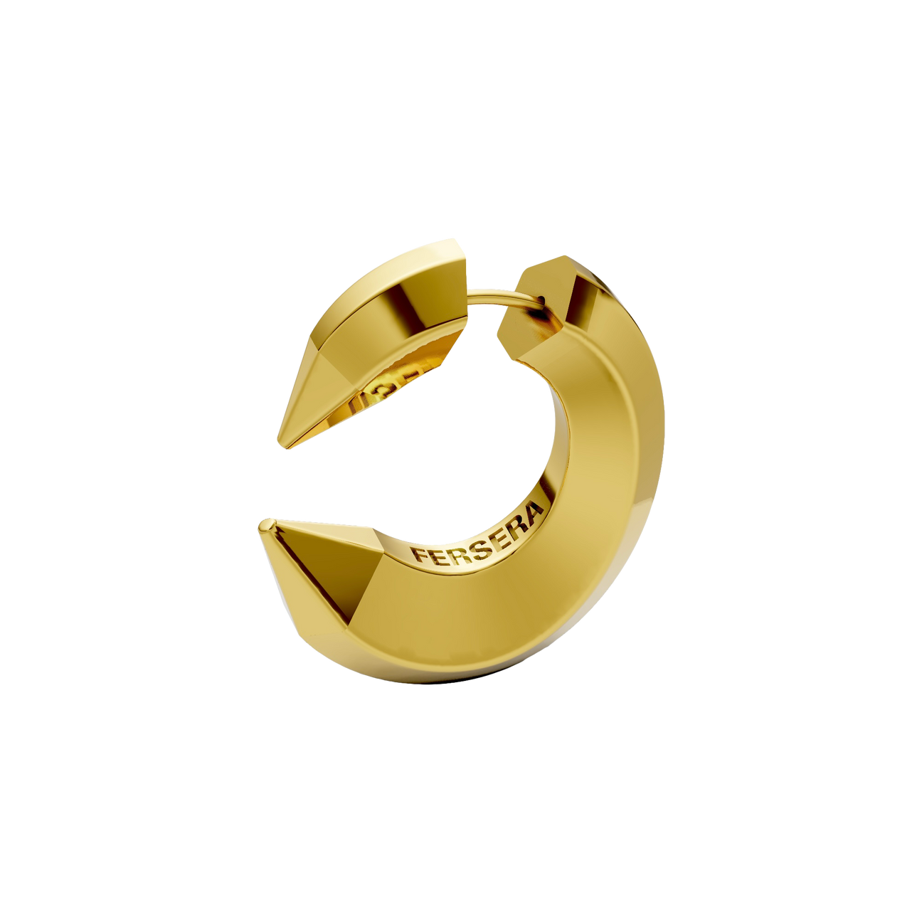 The sculptor's eye earrings - The sculptor's eye earrings -  The Future Rocks -    1