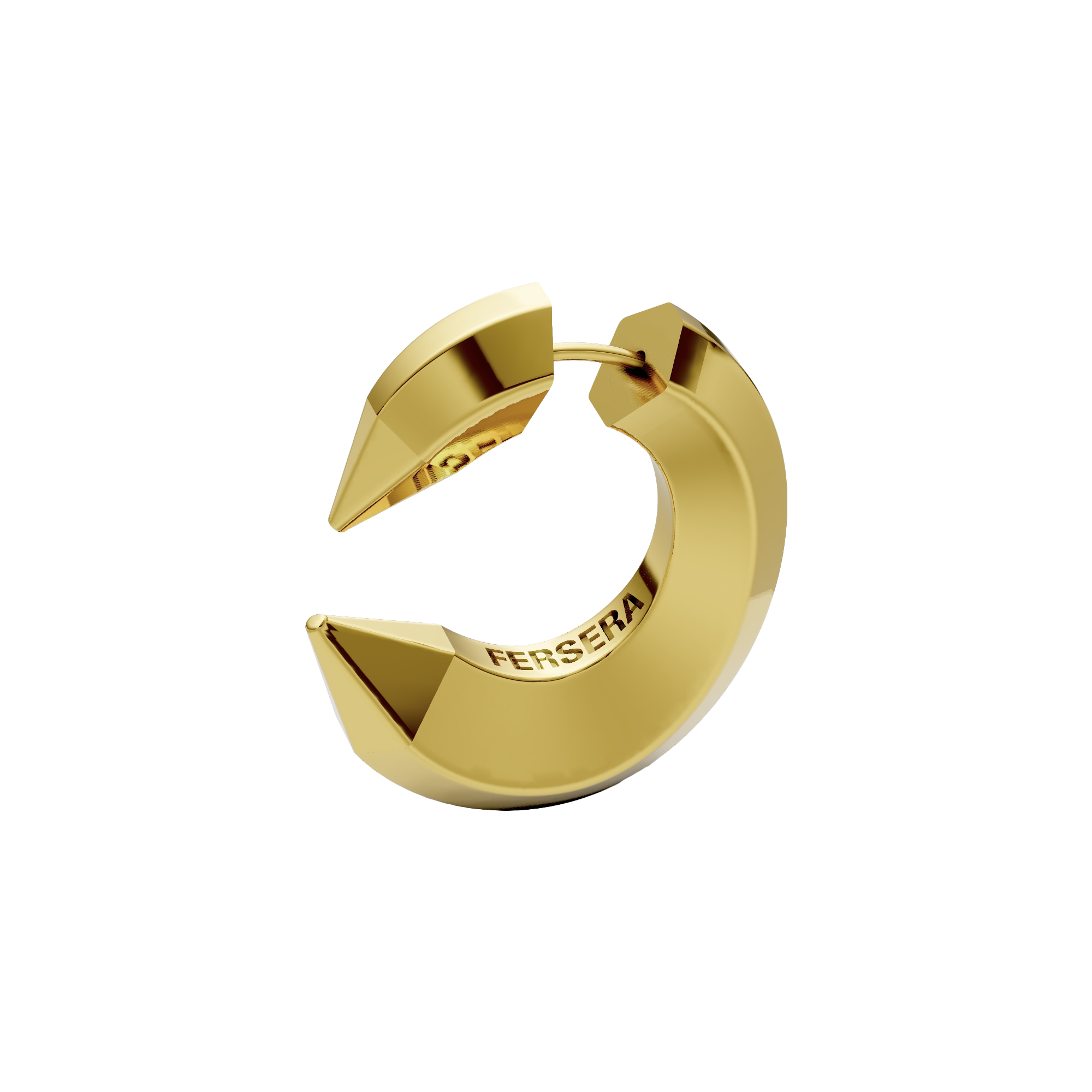 The sculptor's eye earrings - The sculptor's eye earrings -  The Future Rocks -    1