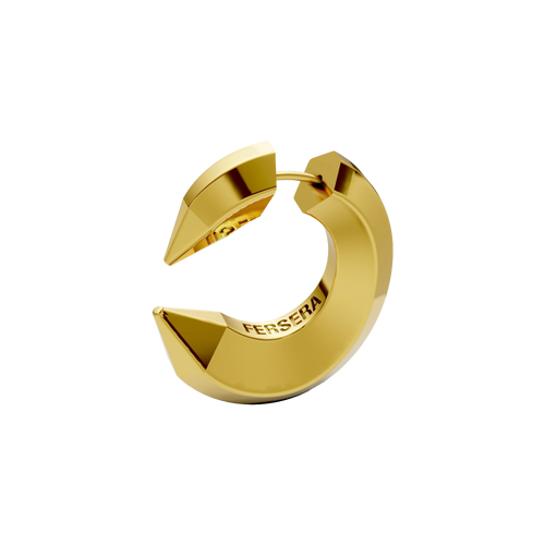 The sculptor's eye earrings - The sculptor's eye earrings -  The Future Rocks -    1