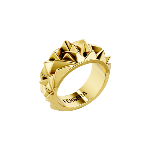 The sculptor's facet ring - The sculptor's facet ring -  The Future Rocks -    1