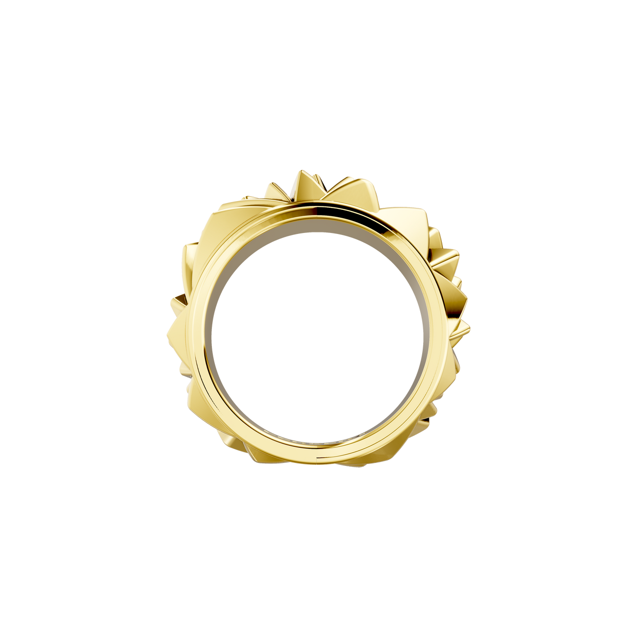 The sculptor's facet ring - The sculptor's facet ring -  The Future Rocks -    5