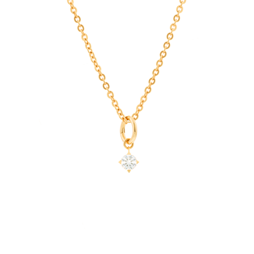 Gaia necklace with 1 charm - Gaia necklace with 1 charm -  The Future Rocks -    1