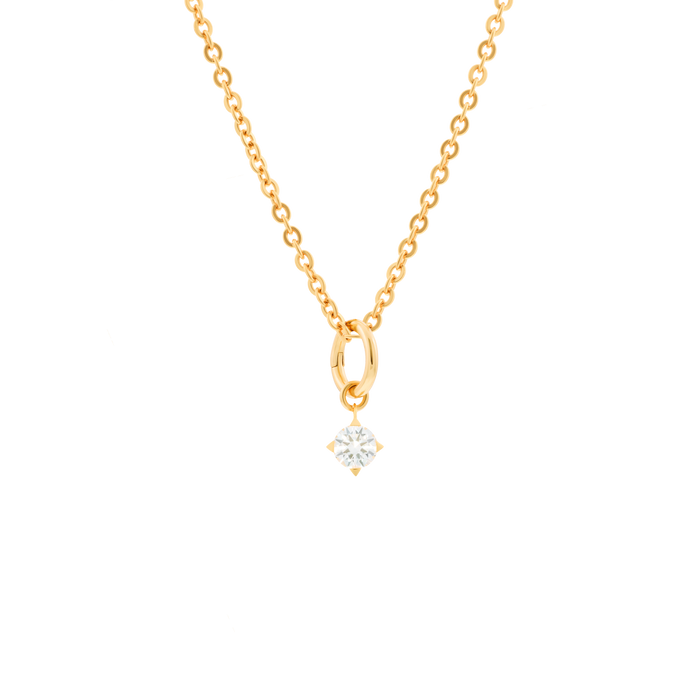 Gaia necklace with 1 charm - Gaia necklace with 1 charm -  The Future Rocks -    1