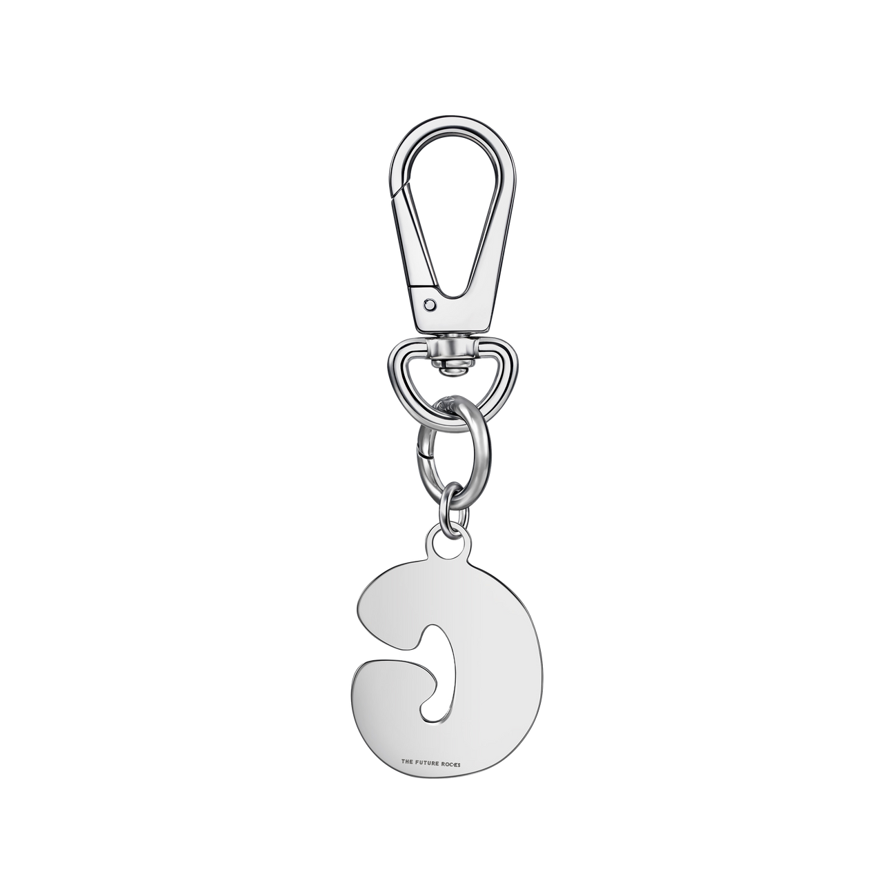 Brown pet collar with 1 charm | セット