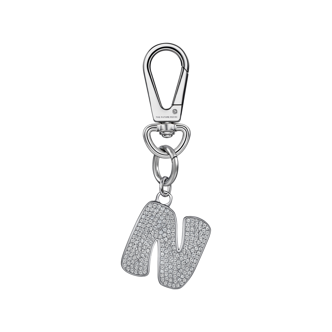 Brown pet collar with 1 charm | セット