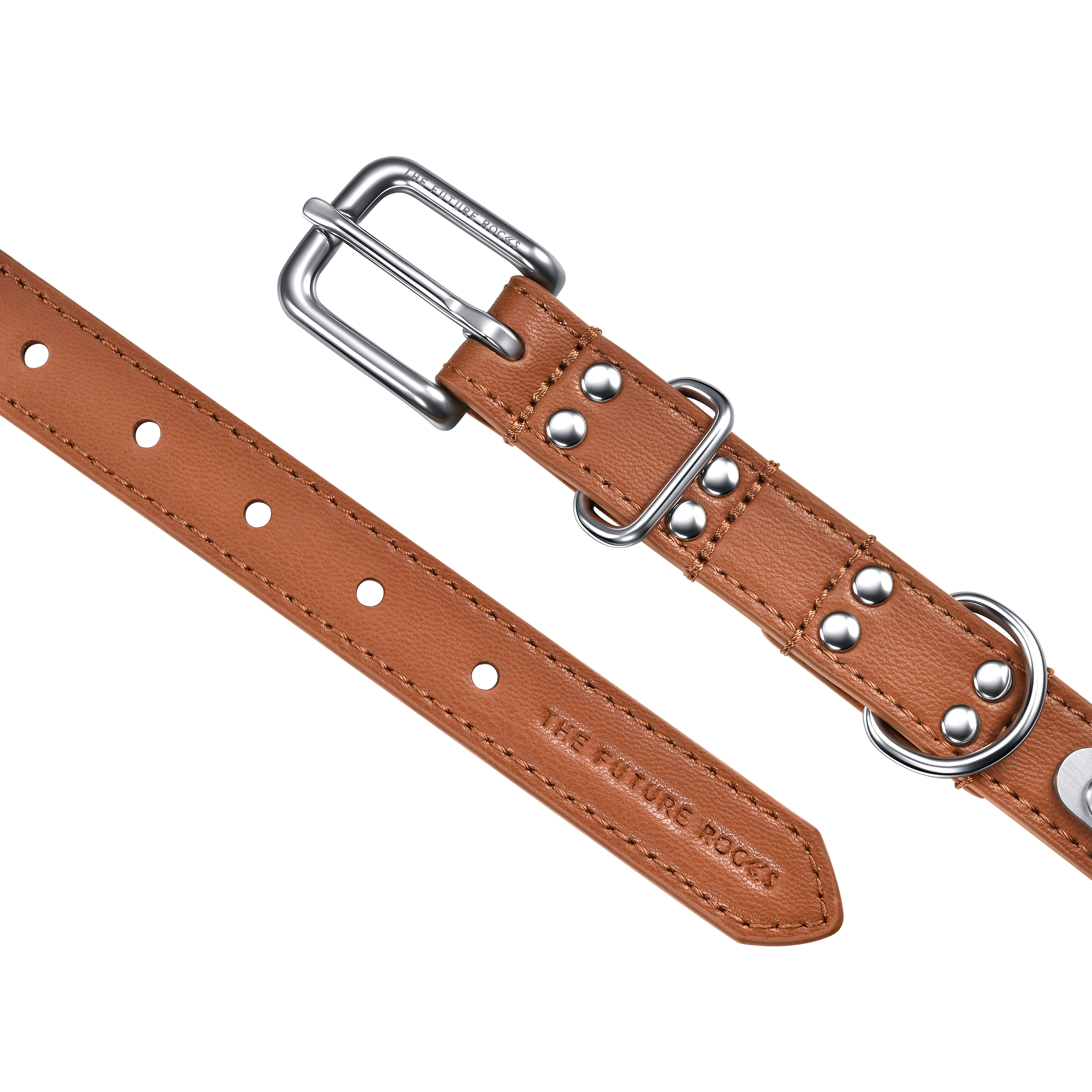 Brown pet collar with 1 charm bundle - Brown pet collar with 1 charm bundle - The Future Rocks - 8