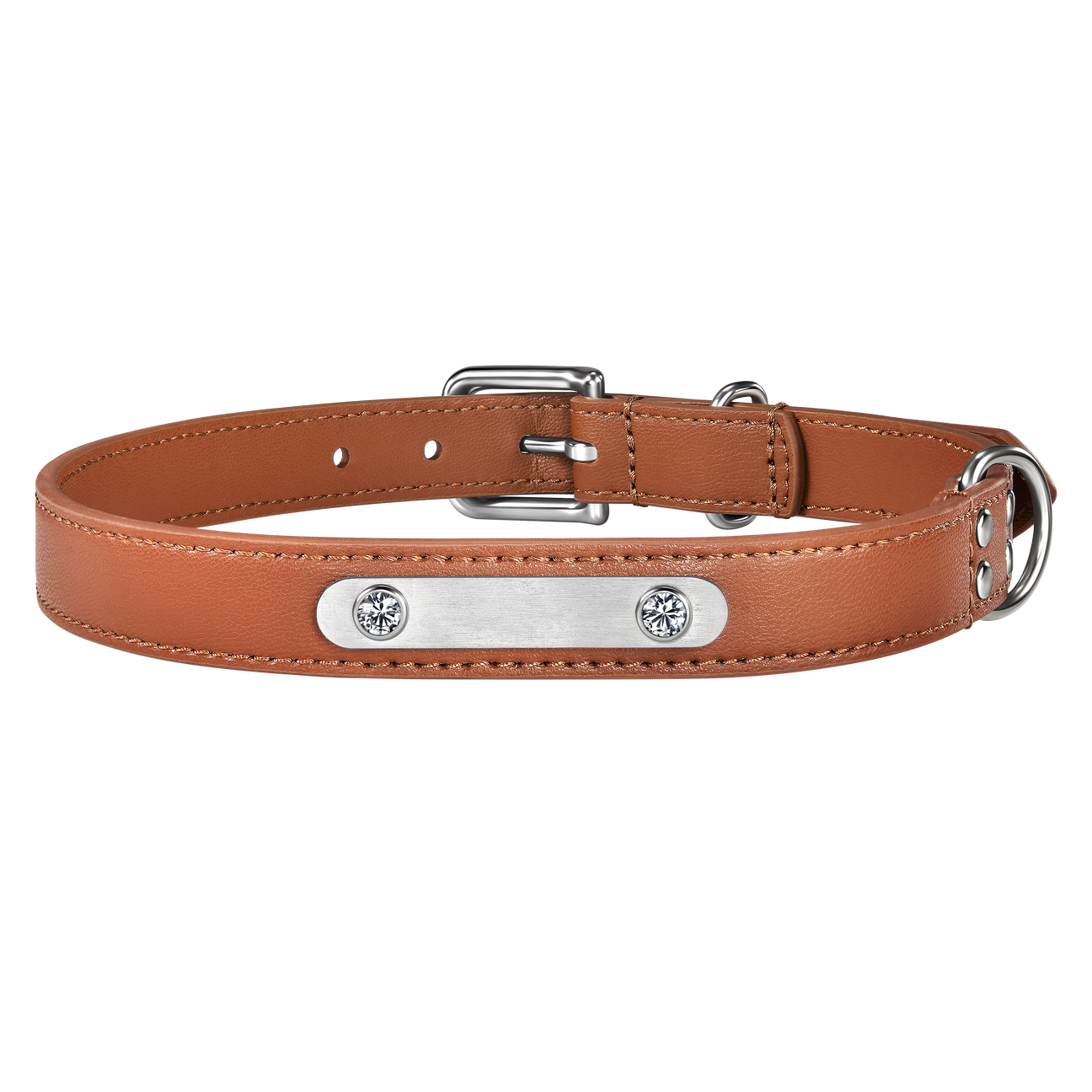 Brown pet collar with 1 charm | セット
