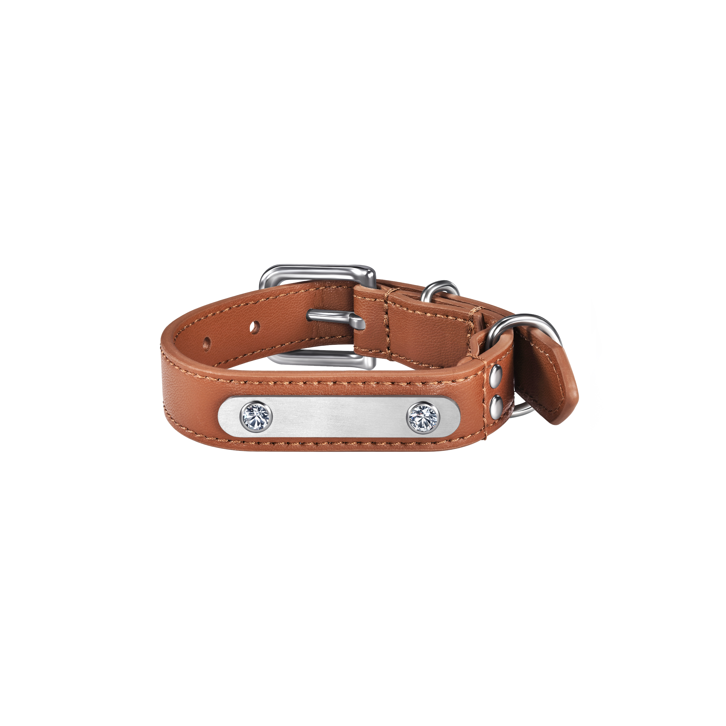 Brown pet collar, leash and 1 charm bundle - Brown pet collar, leash and 1 charm bundle - The Future Rocks - 3