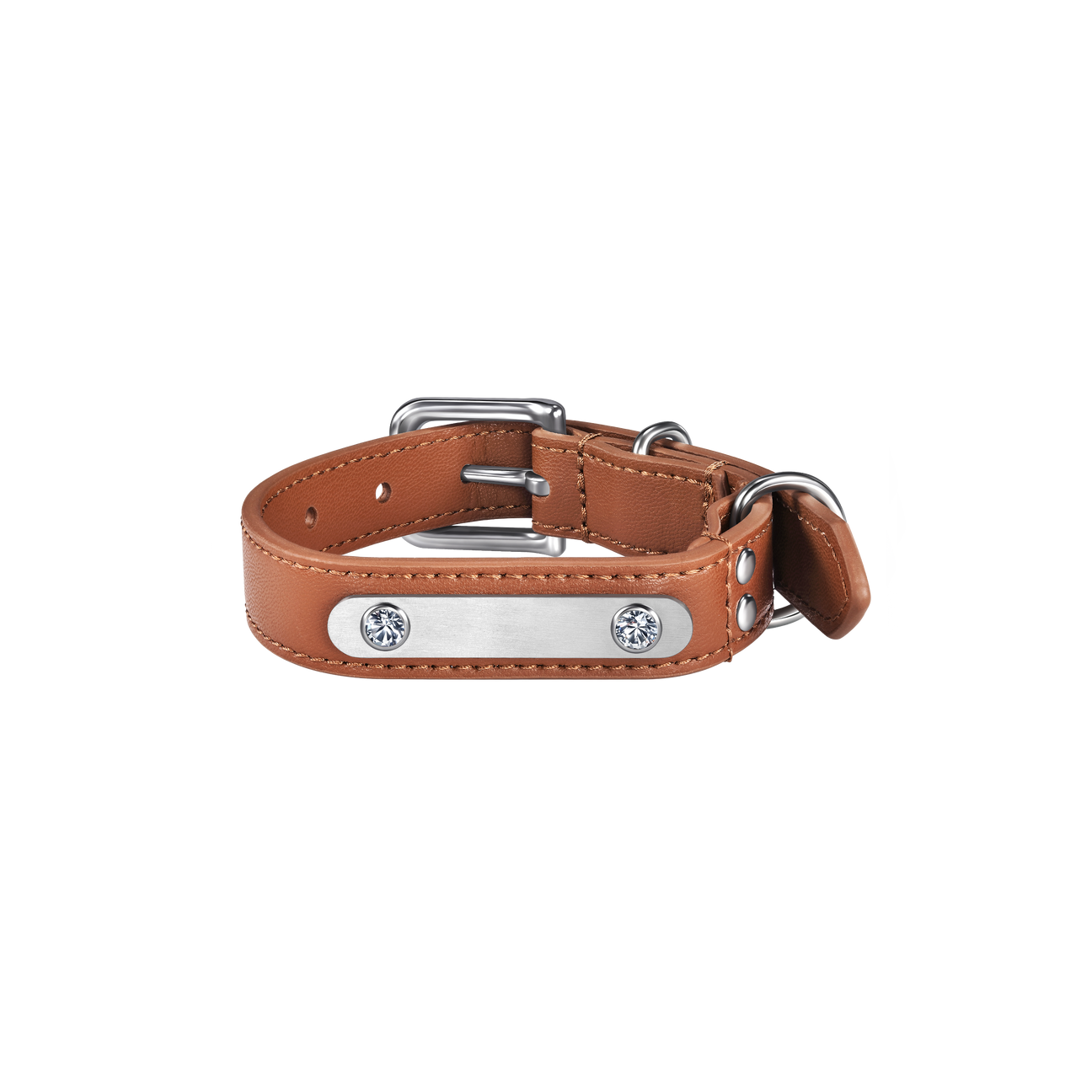 Brown pet collar with 1 charm | セット