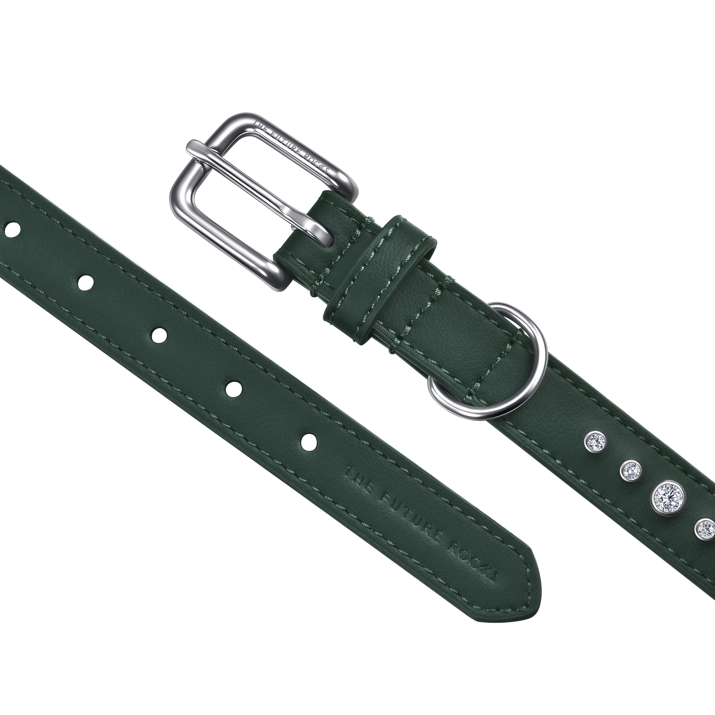 Green pet collar with 1 charm bundle - Green pet collar with 1 charm bundle - The Future Rocks - 7