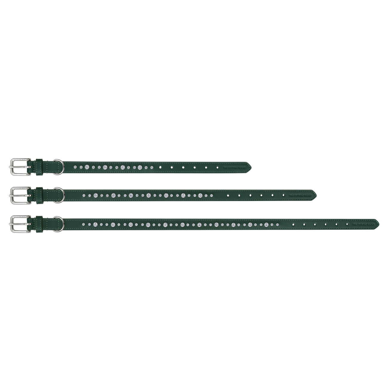 Green pet collar, leash and 1 charm | セット