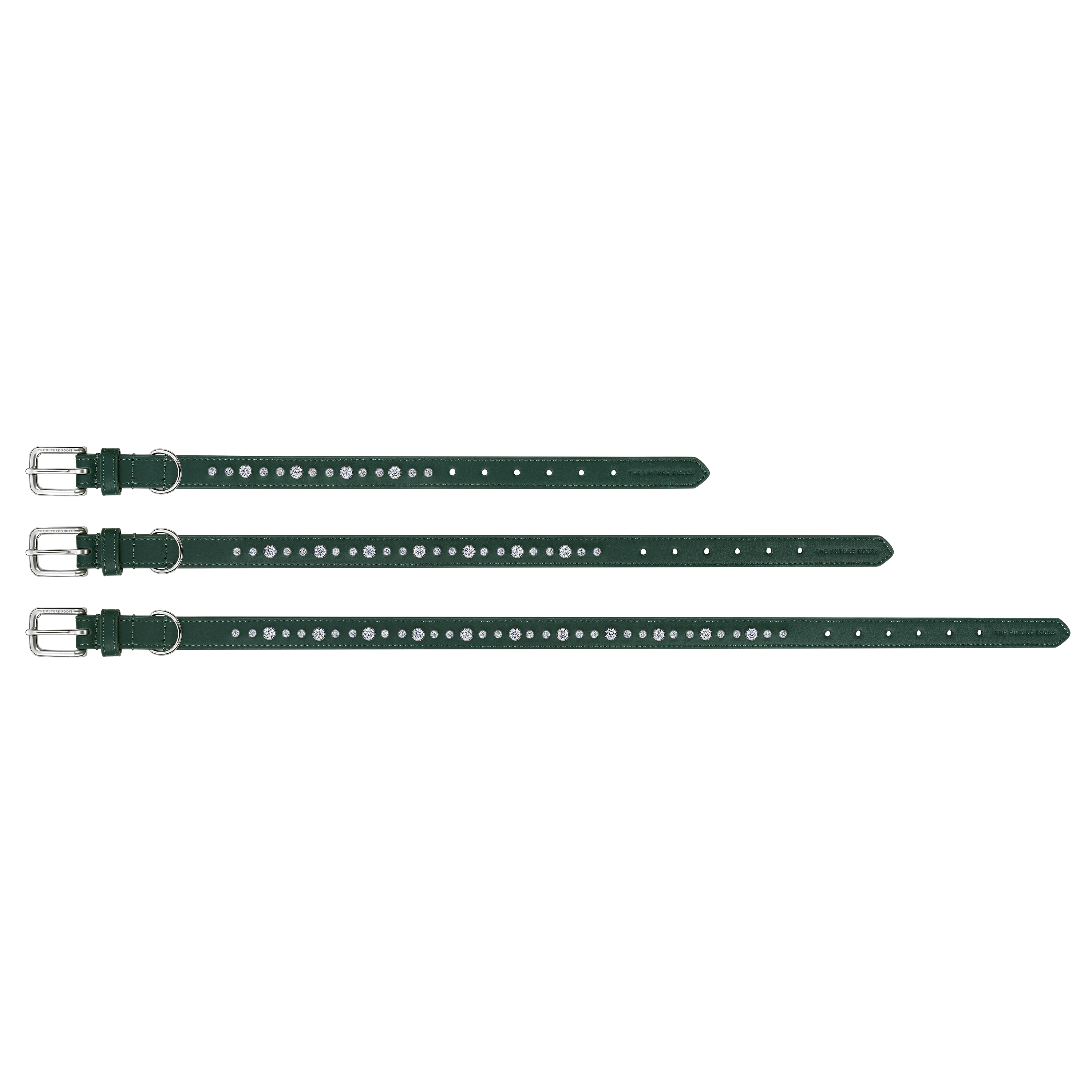 Green collar & leash bundle - Green collar & leash bundle - The Future Rocks - 3