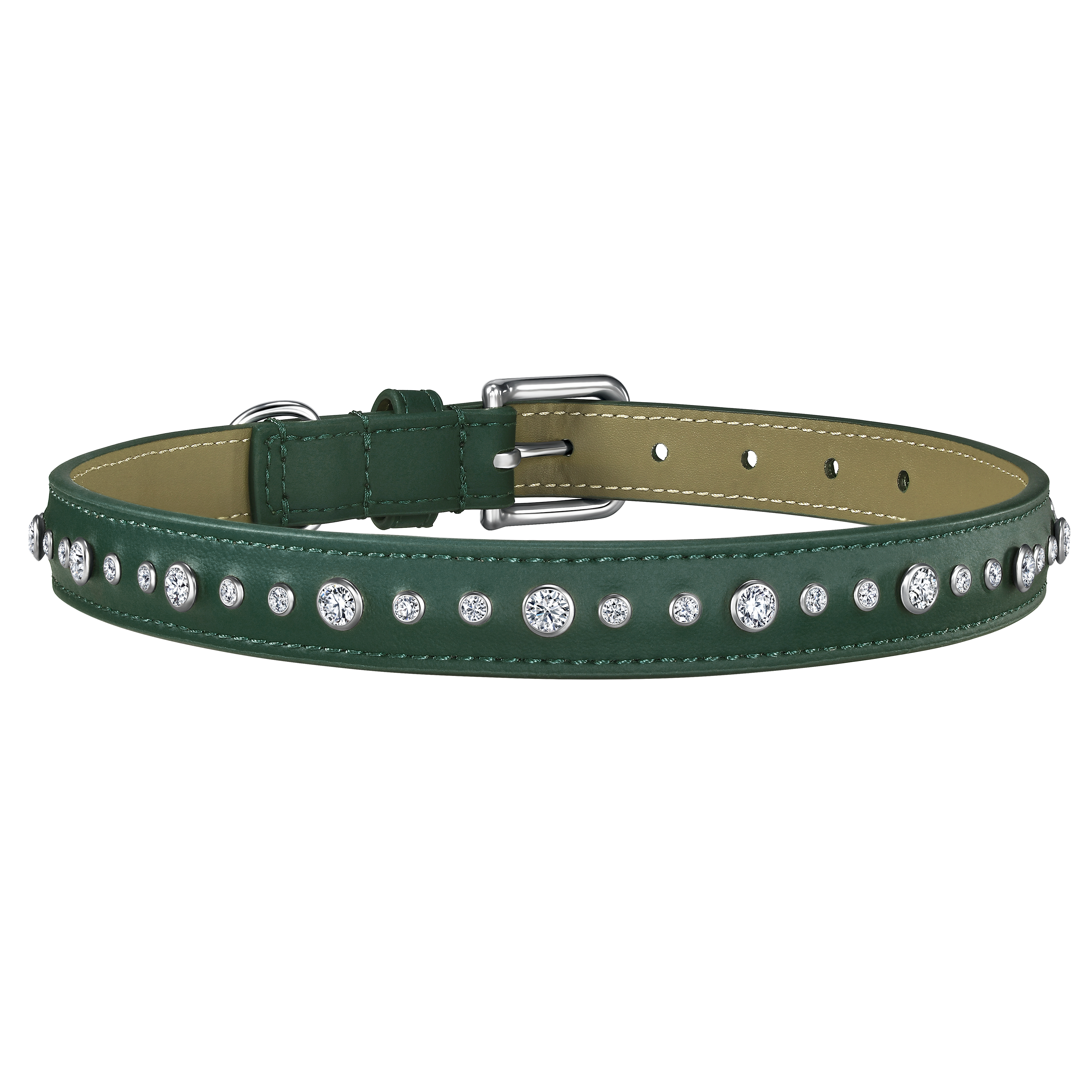 Green pet collar, leash and 1 charm bundle - Green pet collar, leash and 1 charm bundle - The Future Rocks - 6