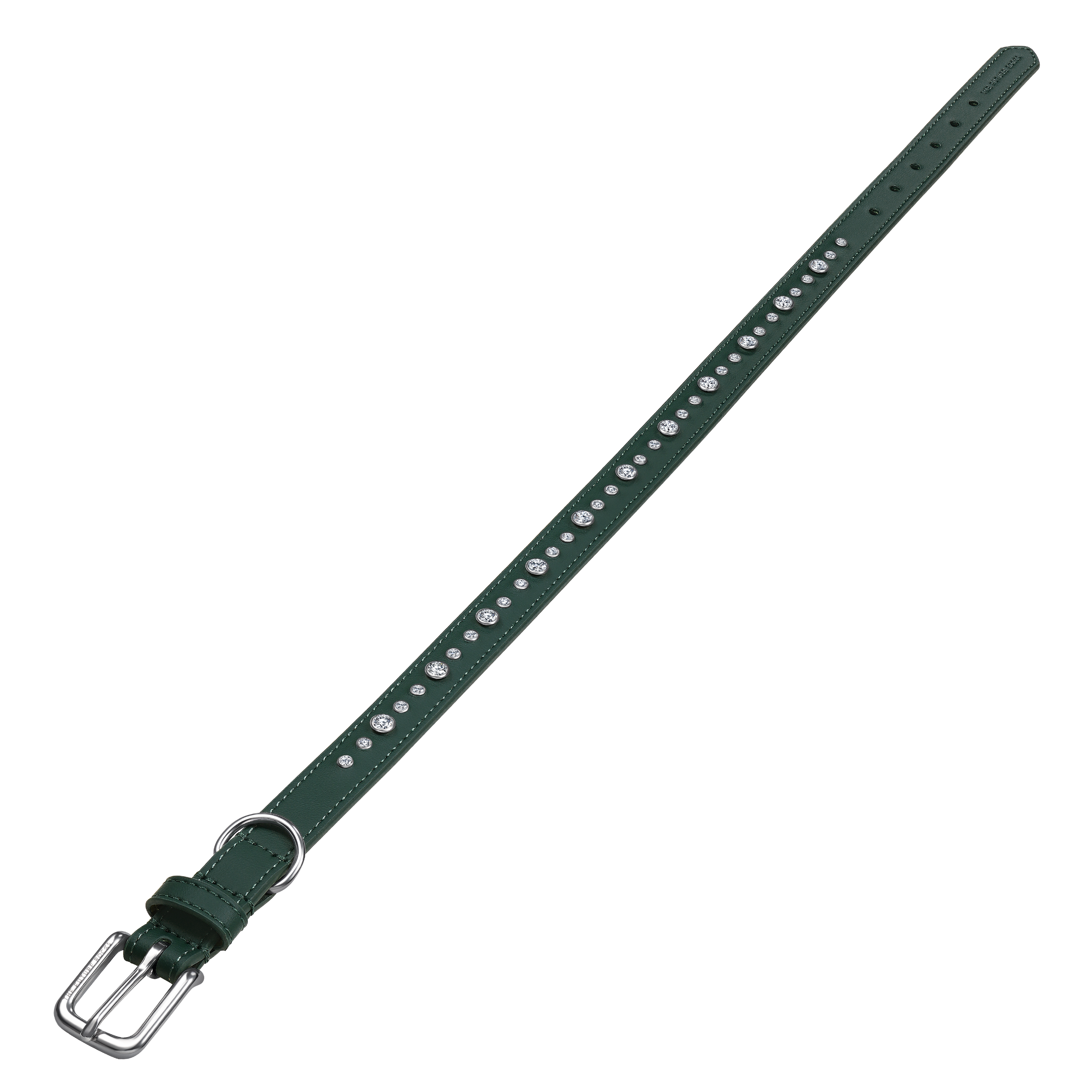 Green collar & leash bundle - Green collar & leash bundle - The Future Rocks - 9