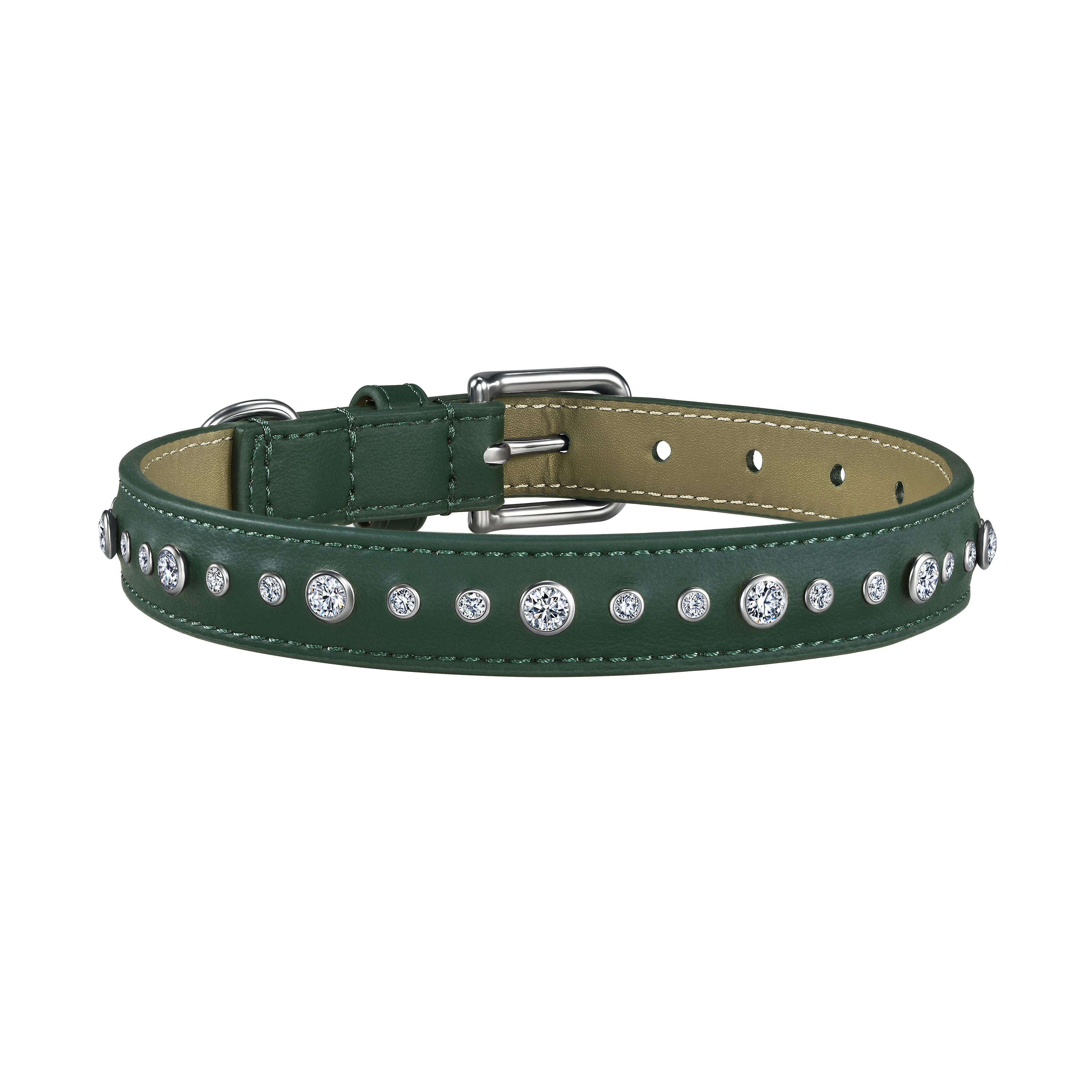 Green pet collar with 1 charm bundle - Green pet collar with 1 charm bundle - The Future Rocks - 5