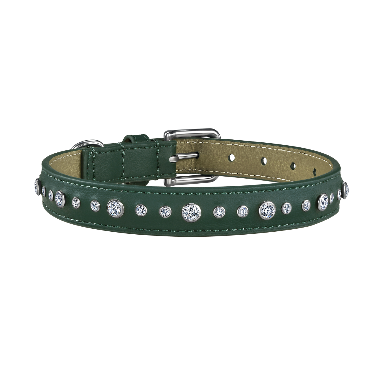 Green pet collar, leash and 1 charm | セット