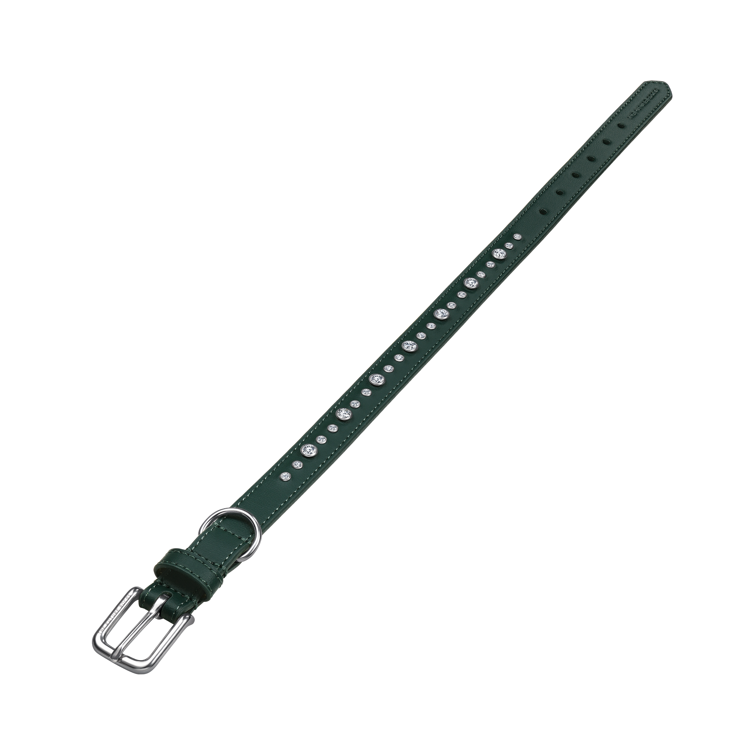 Green collar & leash bundle - Green collar & leash bundle - The Future Rocks - 8