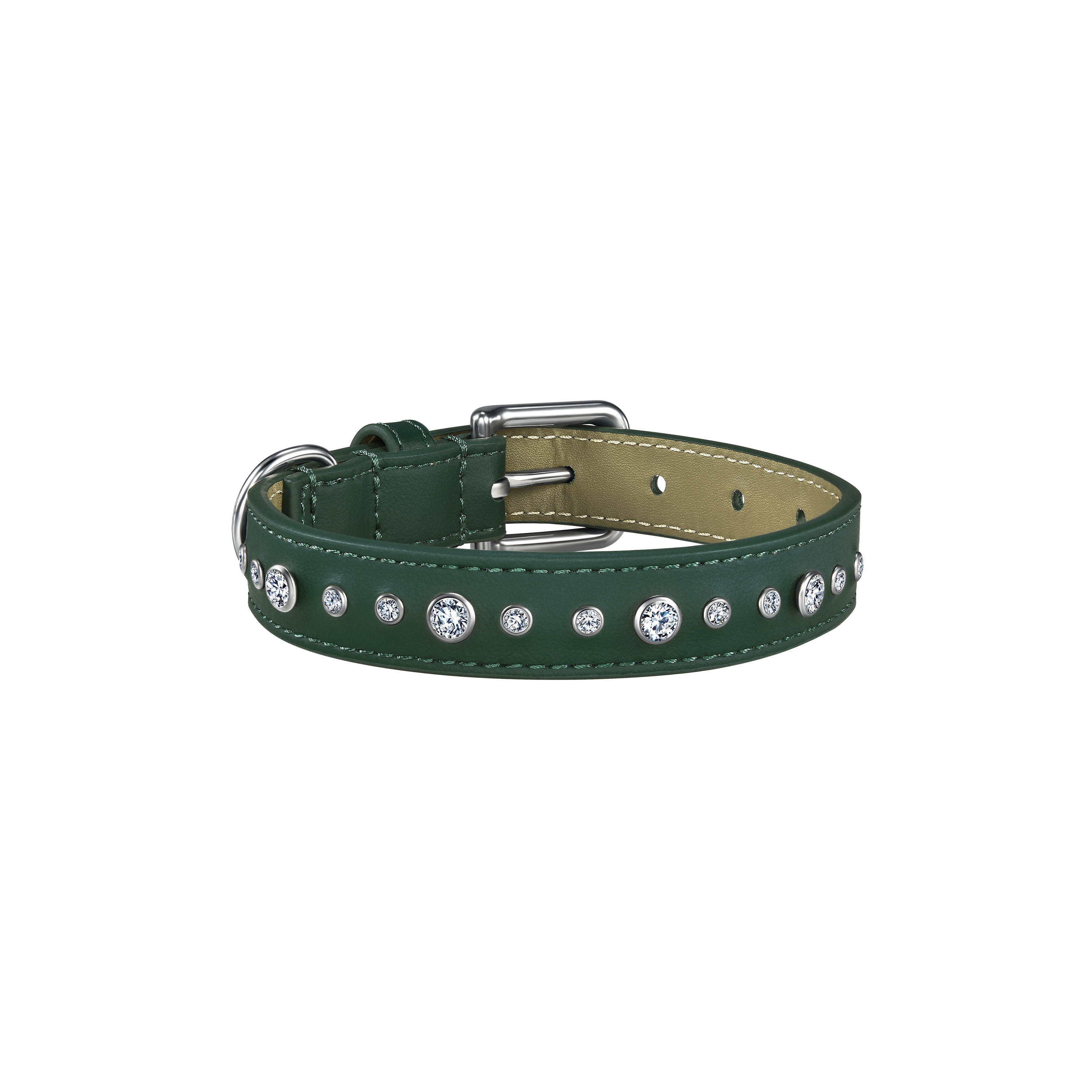 Green pet collar, leash and 1 charm bundle - Green pet collar, leash and 1 charm bundle - The Future Rocks - 4