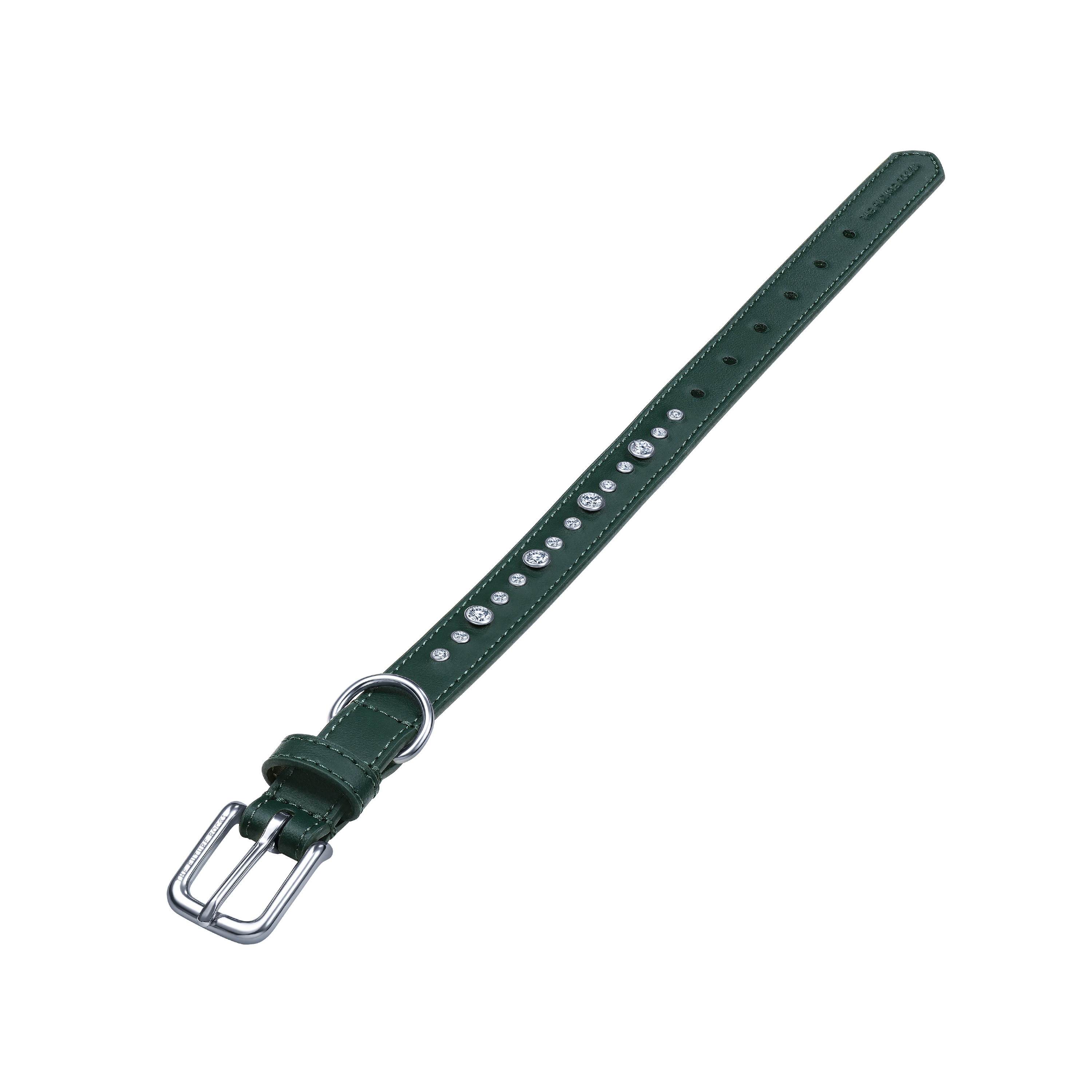 Green collar & leash bundle - Green collar & leash bundle - The Future Rocks - 7