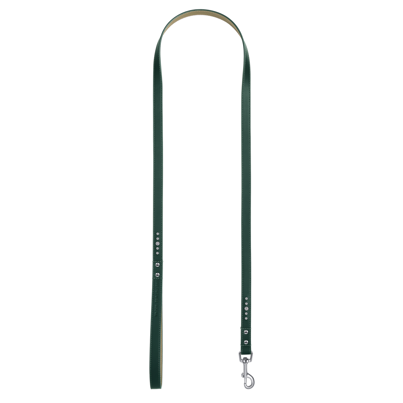 Green collar & leash | セット