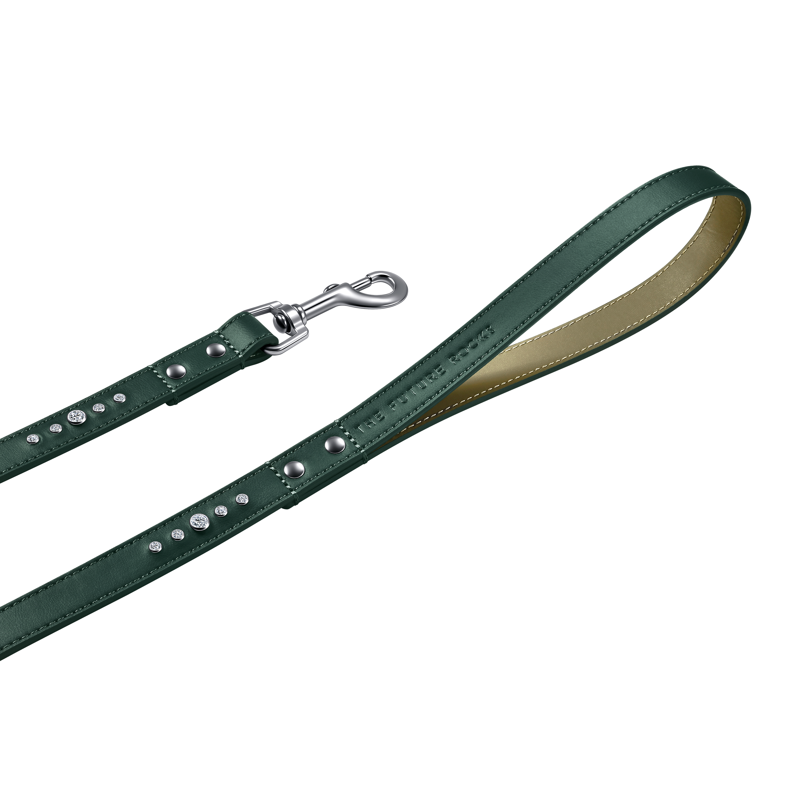 Green pet collar, leash and 1 charm bundle - Green pet collar, leash and 1 charm bundle - The Future Rocks - 9