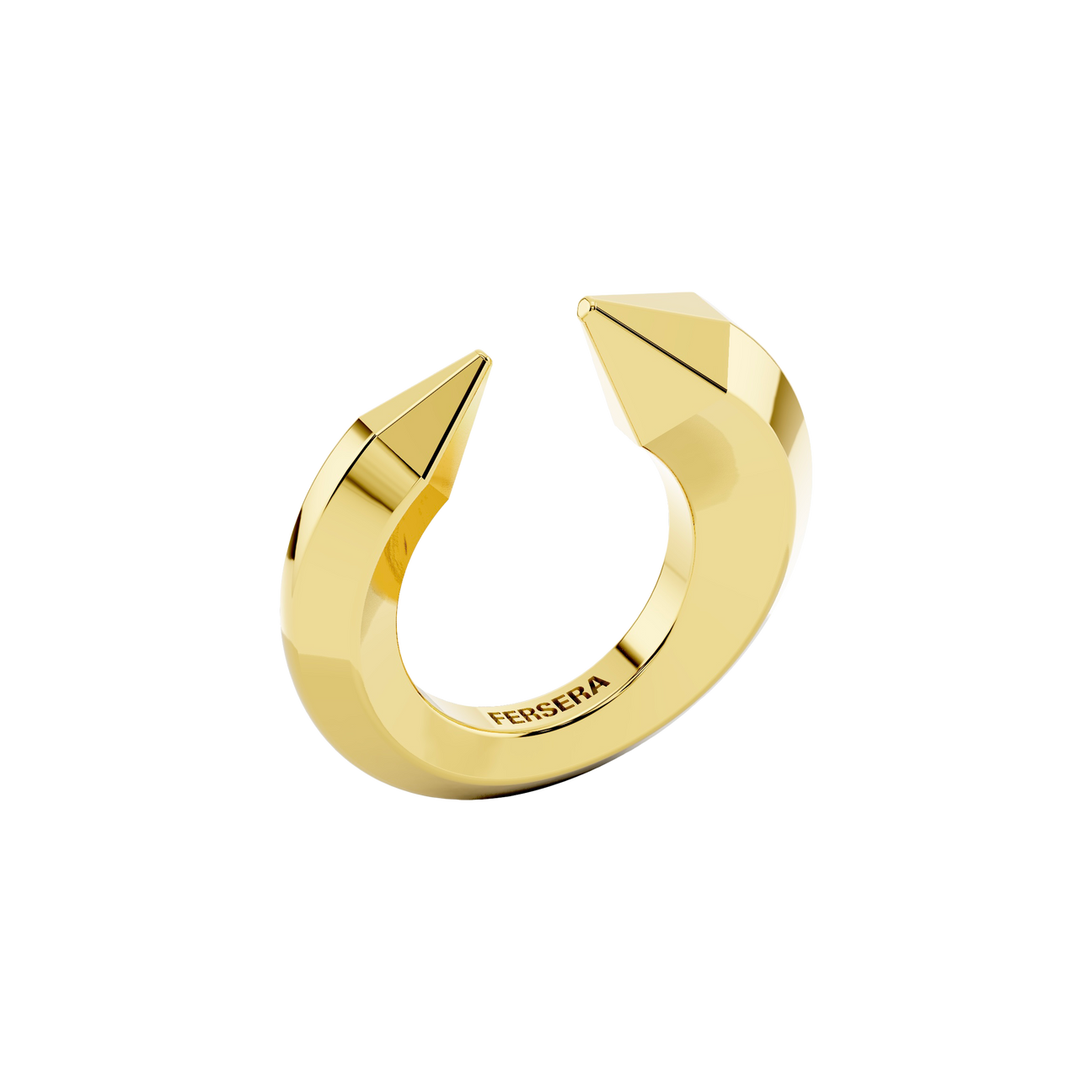 The sculptor's ring - The sculptor's ring -  The Future Rocks -    3