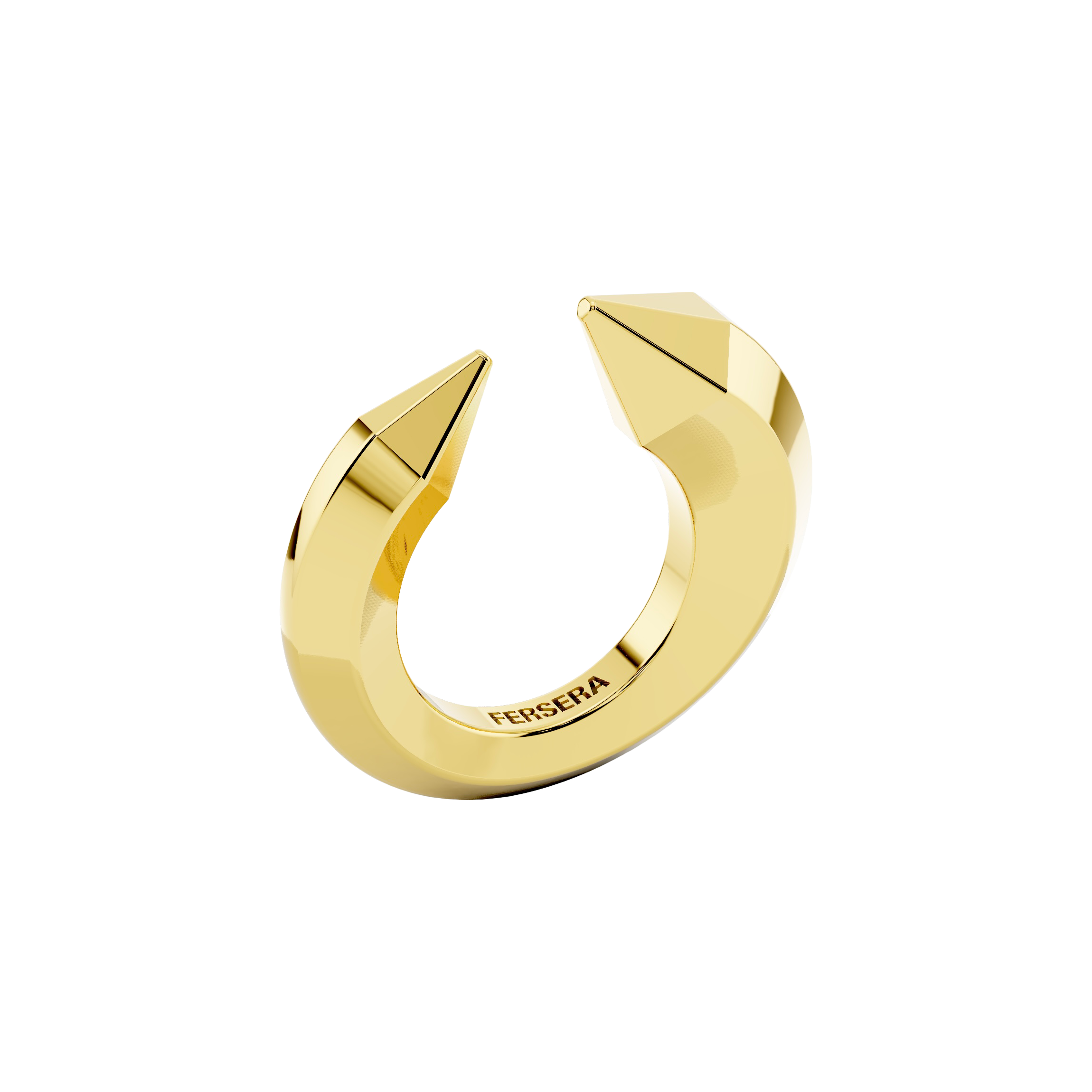 The sculptor's ring - The sculptor's ring -  The Future Rocks -    3
