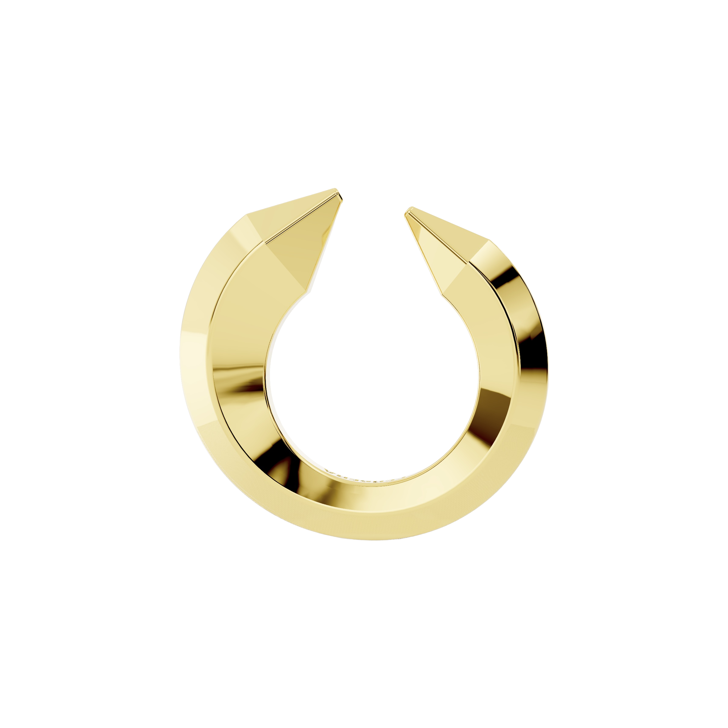 The sculptor's ring - The sculptor's ring -  The Future Rocks -    1