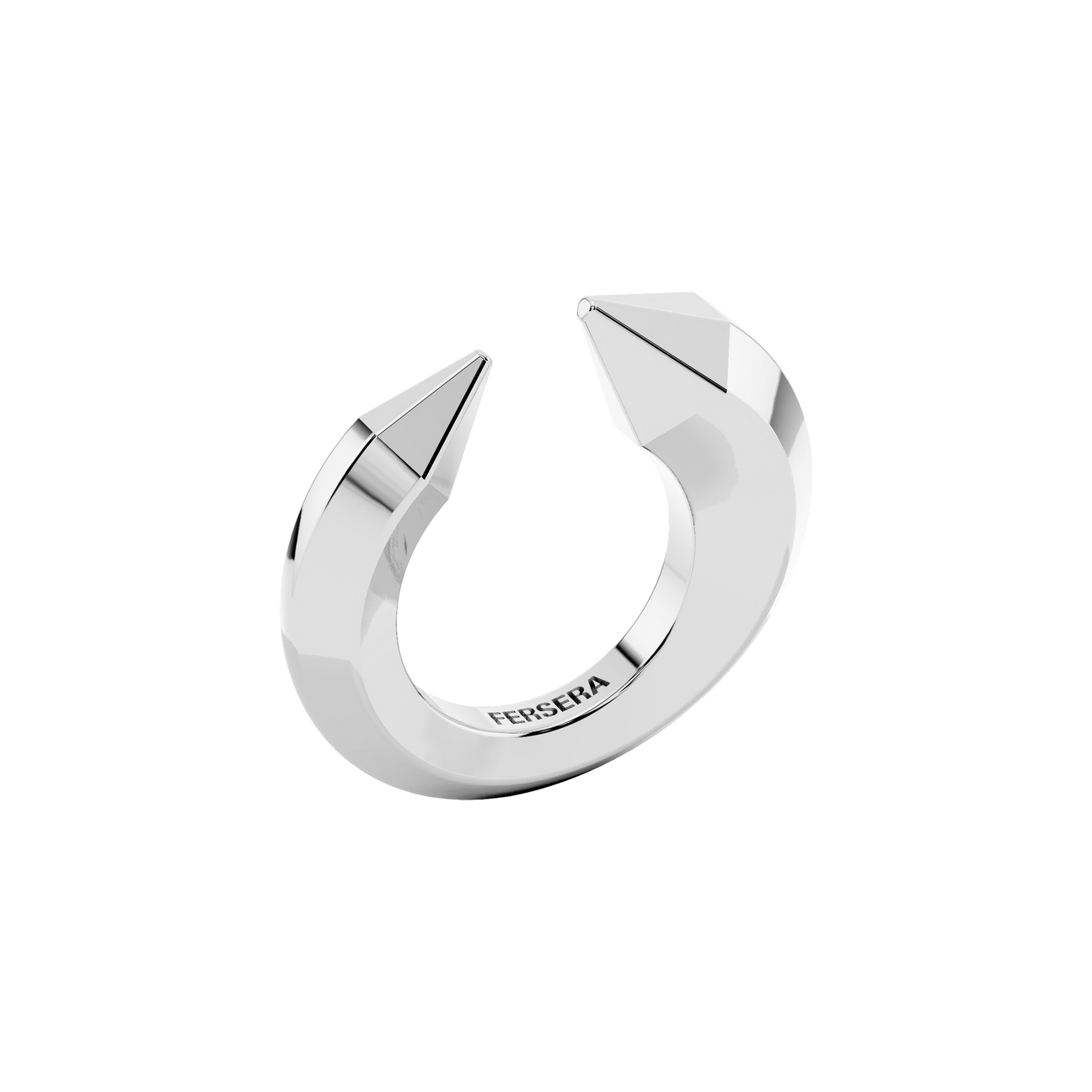 The sculptor's ring - The sculptor's ring -  The Future Rocks -    4