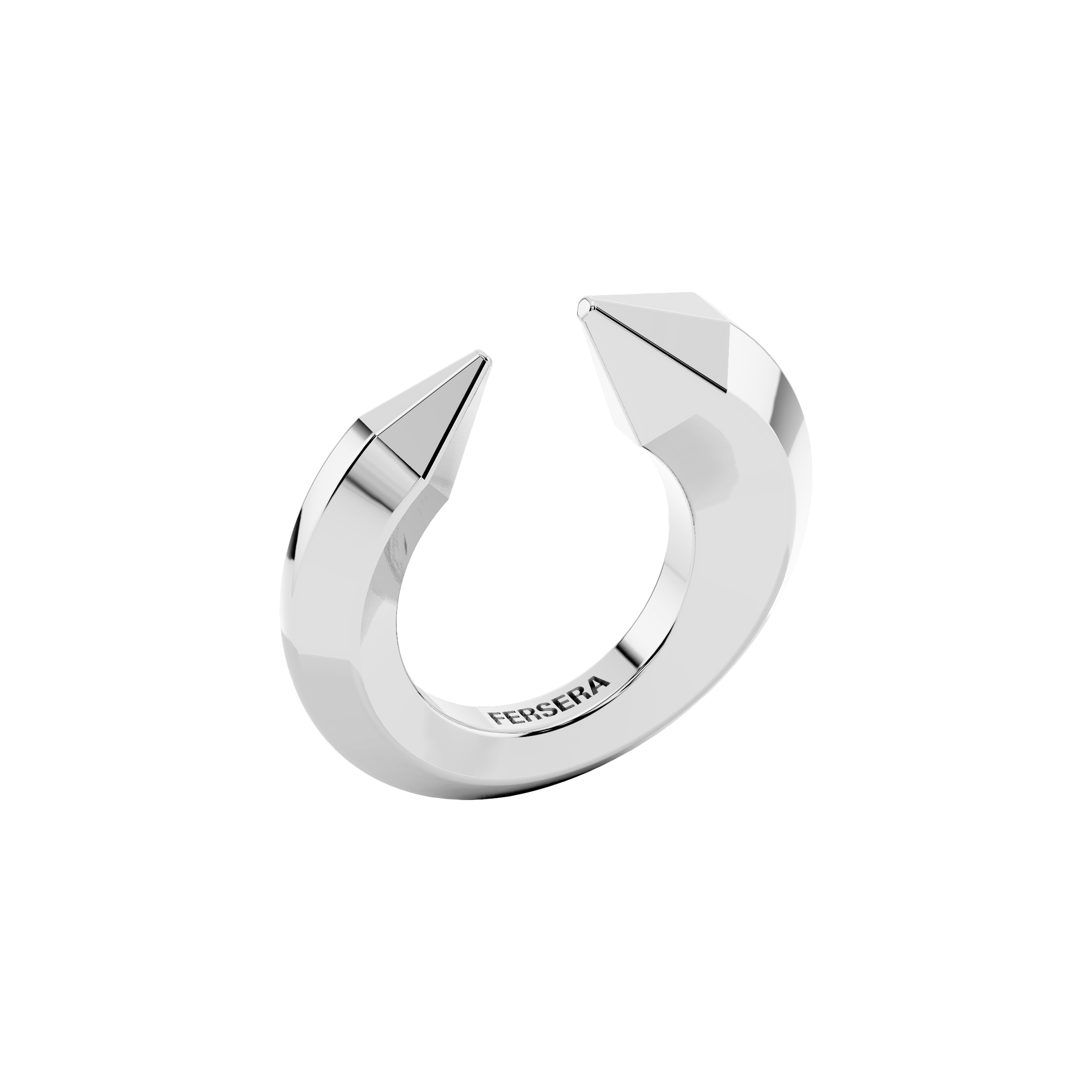 The sculptor's ring - The sculptor's ring -  The Future Rocks -    4
