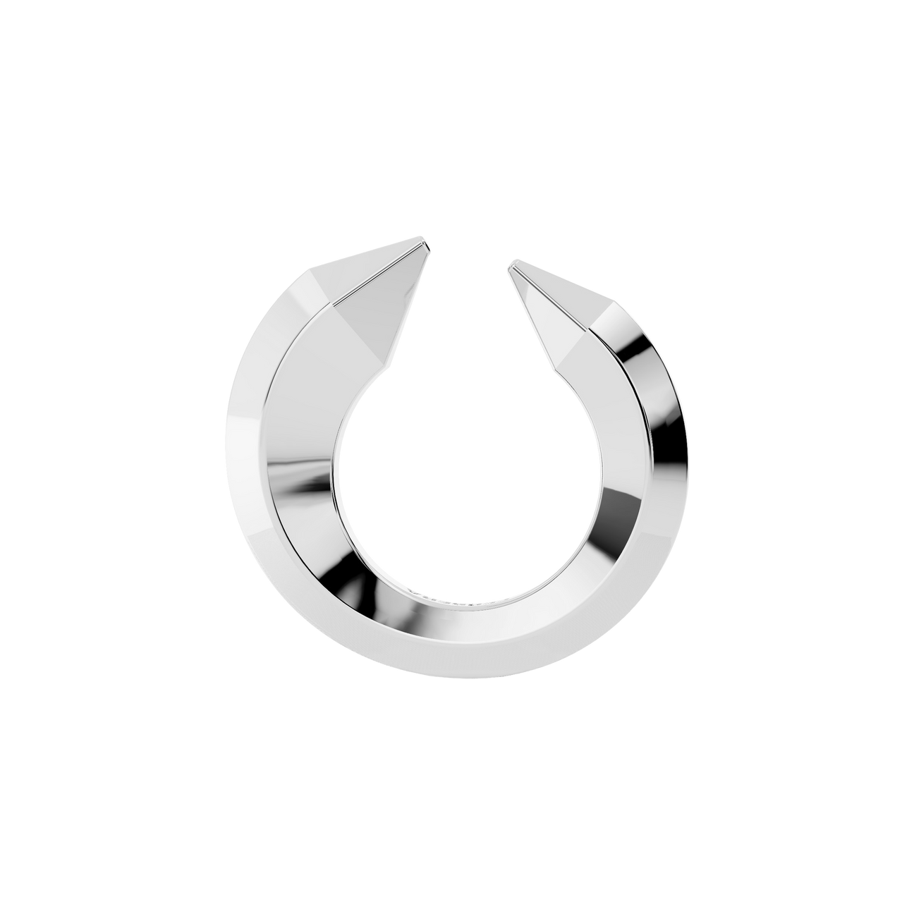 The sculptor's ring - The sculptor's ring -  The Future Rocks -    2