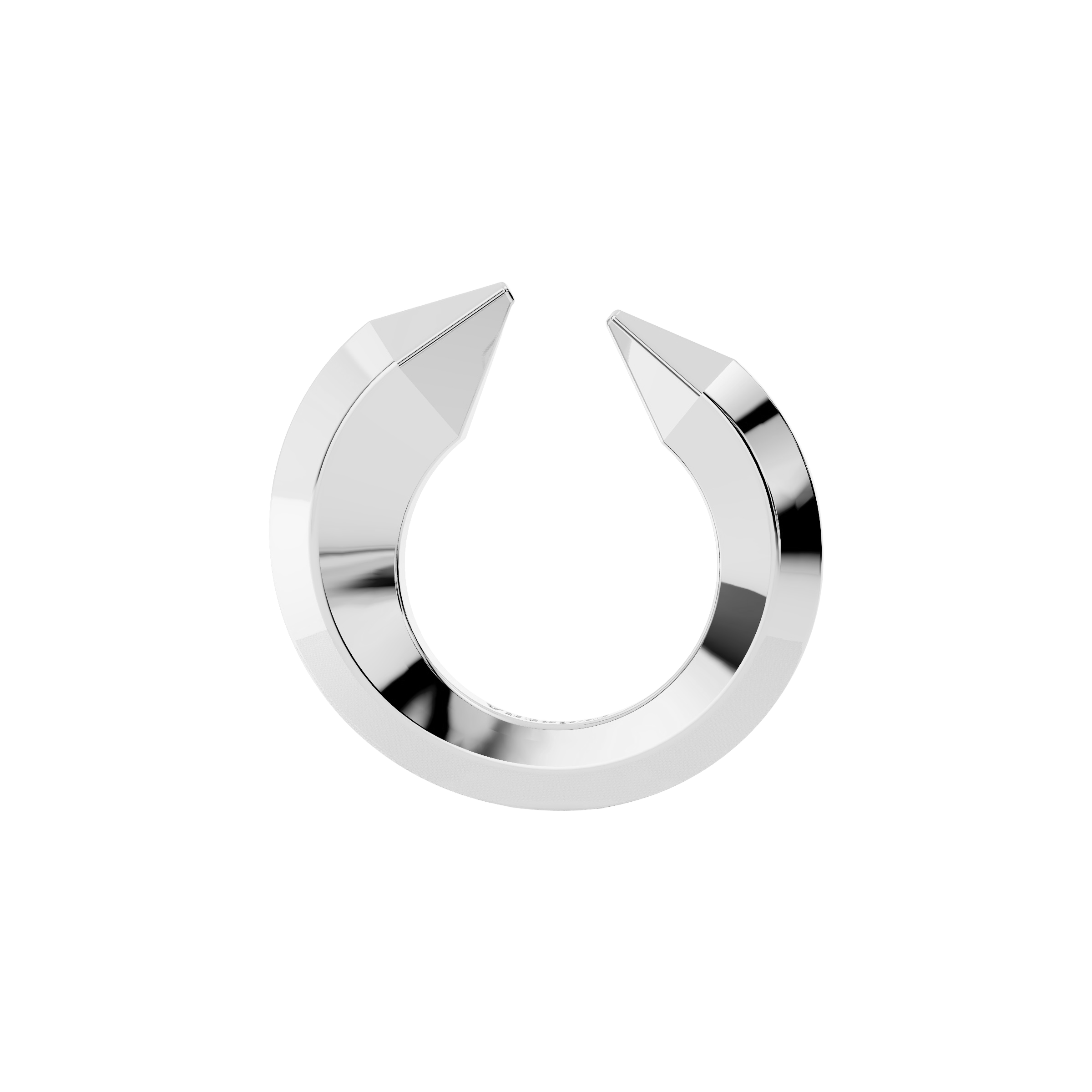 The sculptor's ring - The sculptor's ring -  The Future Rocks -    2