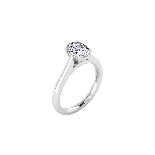 Oval solitaire ring - Oval solitaire ring -  The Future Rocks -    1