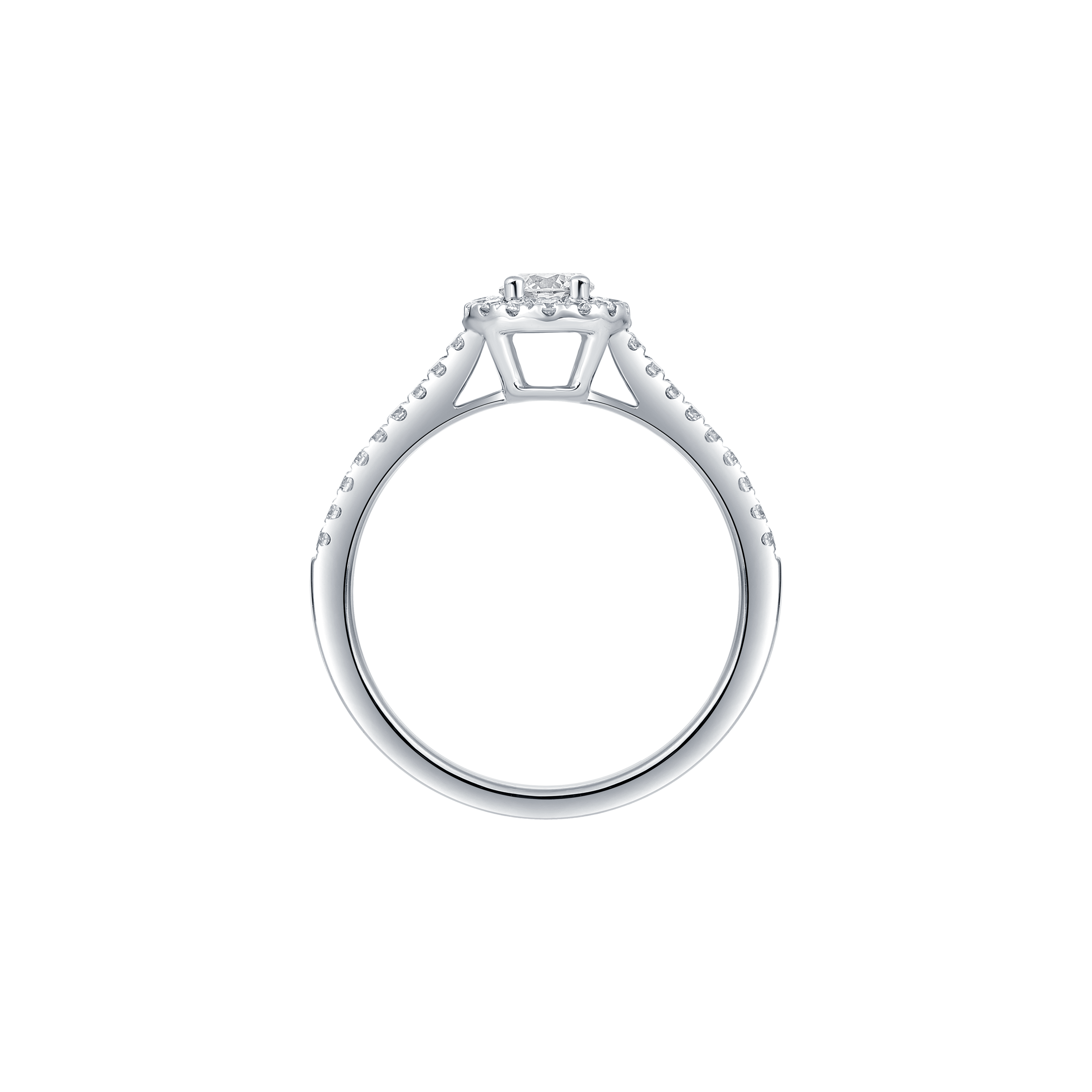 Round petite halo ring - Round petite halo ring -  The Future Rocks -    6