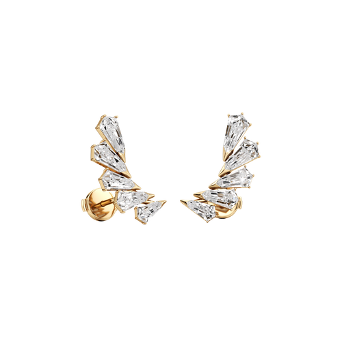 Phoenix wing earrings - Phoenix wing earrings -  The Future Rocks -    1