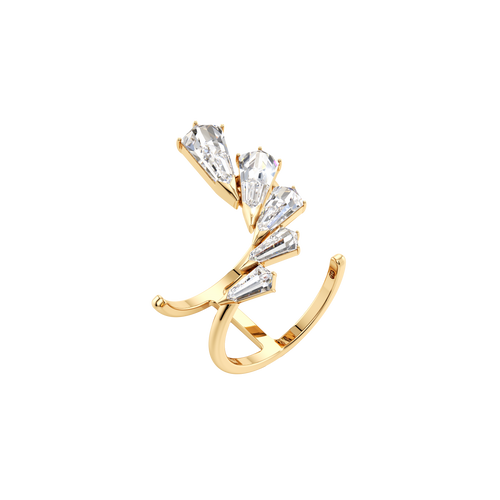 Phoenix wing burst ring - Phoenix wing burst ring -  The Future Rocks -    1