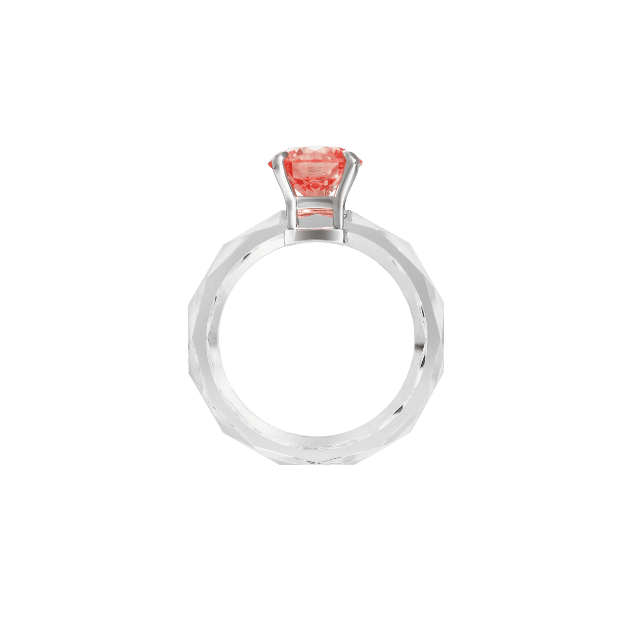RING II in Pink - RING II in Pink -  The Future Rocks -    4