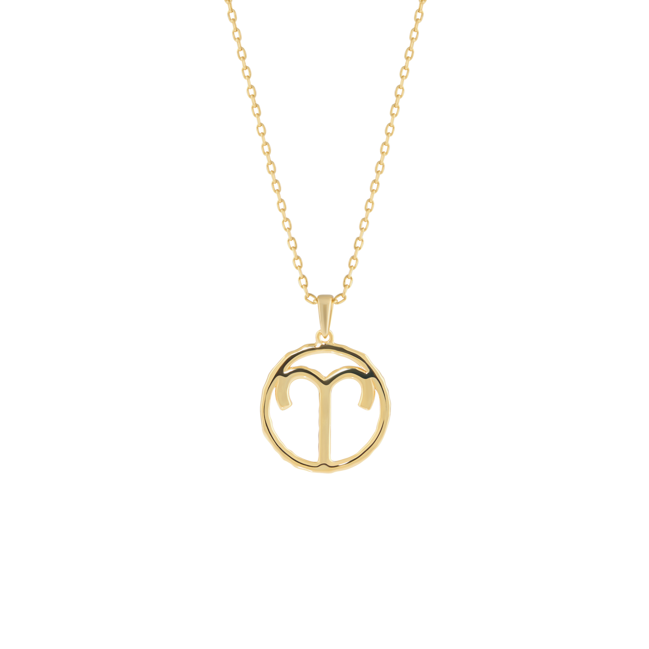 Aries medallion pendant necklace - Aries medallion pendant necklace -  The Future Rocks -    4
