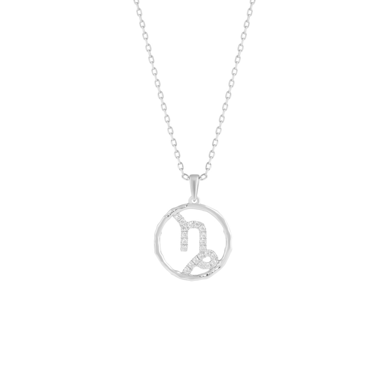 Capricorn medallion pendant necklace - Capricorn medallion pendant necklace -  The Future Rocks -    3