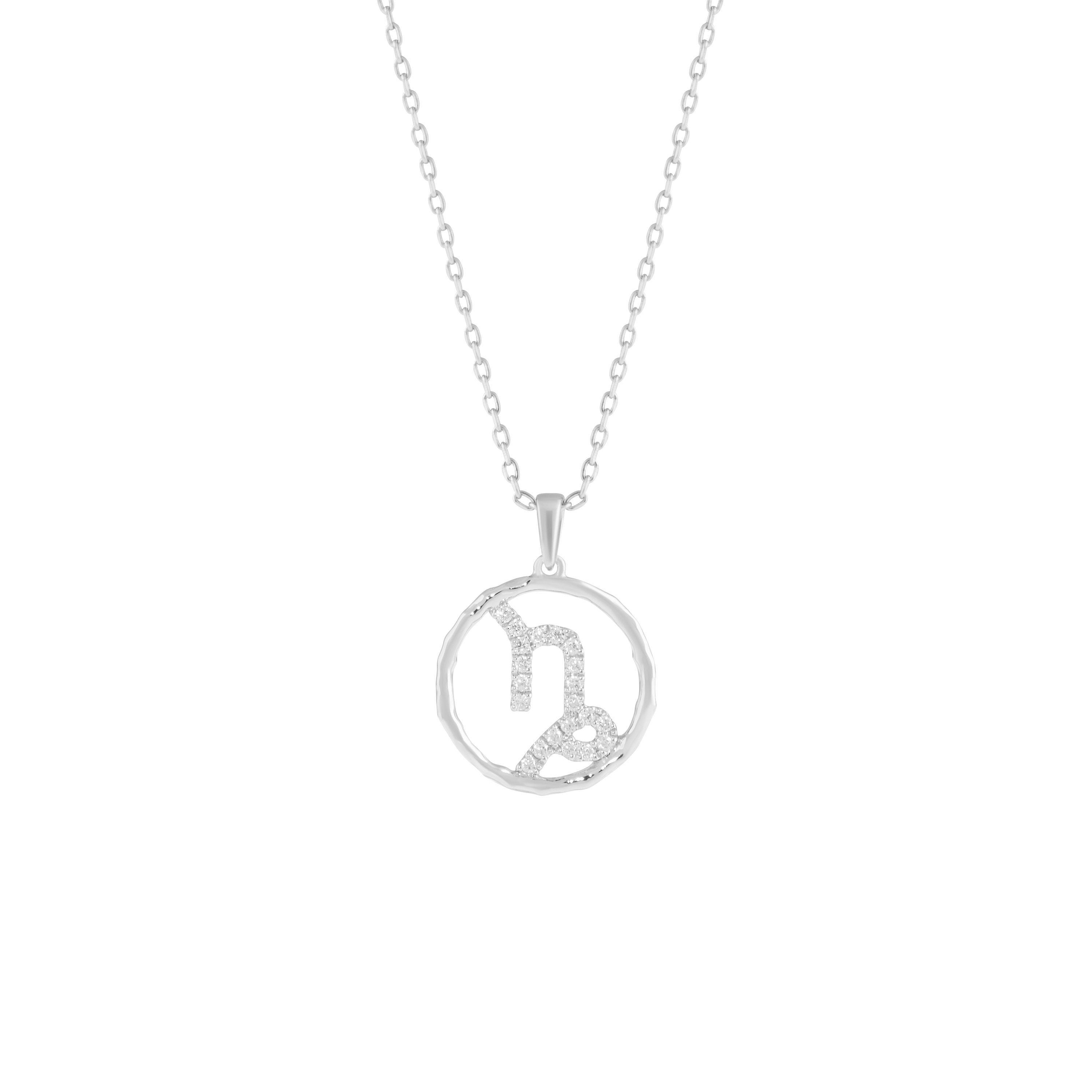 Capricorn medallion pendant necklace - Capricorn medallion pendant necklace -  The Future Rocks -    3